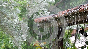 Rain drops falling from roof`s eave during rain