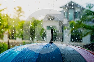 Rain drops falling on umbrella in the day time