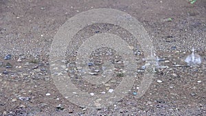 Rain drops flows down from home roof to the ground background