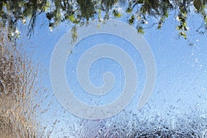 Rain drops on the glass. Blue sky and green leaves branches. Sky background