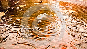 Rain drops leaves ripples autumn background