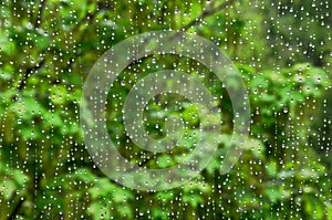 Rain drops on my window