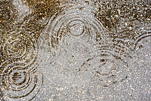 Rain Drops in a Puddle