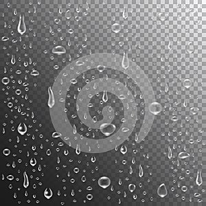 Rain drops or steam shower. Realistic water drops on transparent background. Clear vapor bubbles on window glass surface.