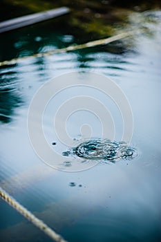 Rain drops on the surface of water in a puddle with graduated shade of black shadow and reflection of blue sky