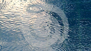 Rain drops on the swimming pool.