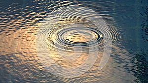 Rain drops on the swimming pool.