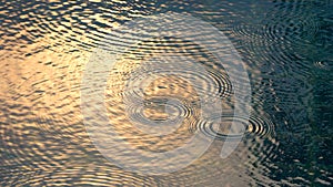 Rain drops on the water pool that have ripple wave effect