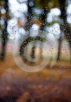 Rain drops on window