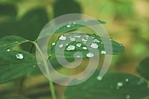 Rain drops on a window with blurred background