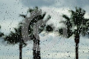 Rain drops on the window with blurred palm trees in the background. Holiday failure concept