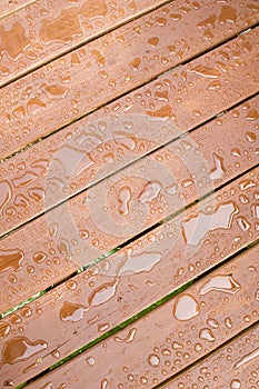 Rain Drops on wood