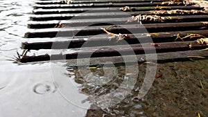 Rain falling on pavement Spring rain is falling and drops of water are dripping in puddles Rainwater running down a drain Rainwate