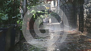 Rain falling on plants in empty street in Mumbai.