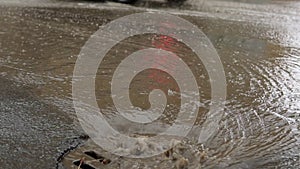 Rain falling on road, flowing through sewer drain. Cars drive on a flooded way.