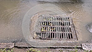 Rain flowing into a storm water sewer system. Storm sewer after a heavy rain