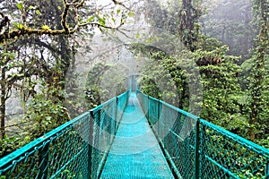 Rain Forest, Costa Rica