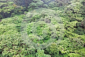 Rain Forest, Costa Rica