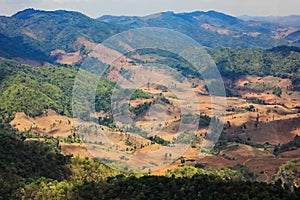 Rain forest destruction in Thailand