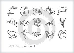 Rain forest icons of animals and plants found in tropical climates