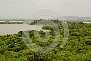 Rain forest mirrored in waters, on Rio Negro in the Amazon River basin, Brazil, South America photo