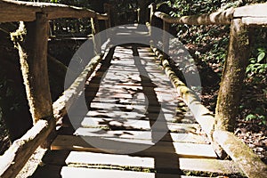 rain forest walk way in Ang Ka nature trail located in Doi inthanon national park, the highest peak in Thailand