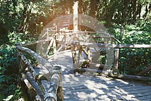 rain forest walk way in Ang Ka nature trail located in Doi inthanon national park, the highest peak in Thailand