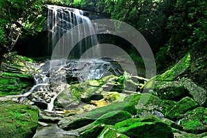 Rain Forest Waterfall