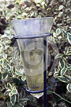 Rain gauge