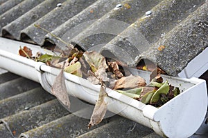 Roof Gutter Cleaning from Leaves in Autumn. Leaves and Dirt in the Rain Gutter.