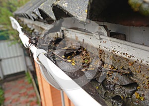 Rain Gutter Cleaning from Leaves and Dirt. Roof Gutter Drainage Cleaning Tips. Clean Your Gutters Before They Clean Out Your photo