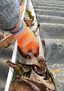 Rain Gutter Cleaning from Leaves in Autumn with hand. Roof Gutter Cleaning Tips.