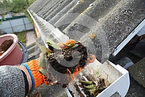 Rain Gutter Cleaning. Scooping leaves from gutter. Clean and Repair Rain Gutters and Downspout with roofer hands.