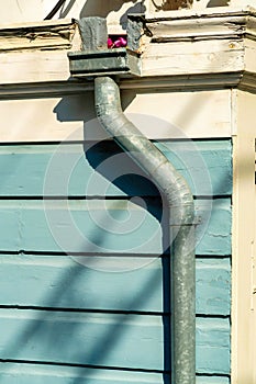 Rain gutter on side of blue horizontal wood slatted house with white timber accents in late afternoon sun