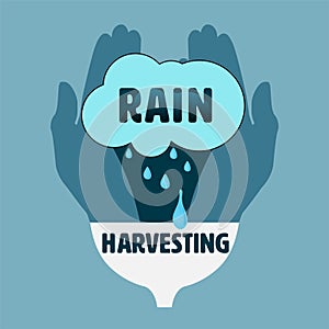 Rain Harvesting Palm