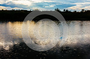 Rain on lake