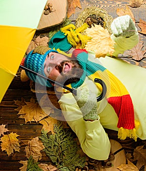 Rain metcast concept. Man bearded with umbrella lay on wooden background with leaves top view. Fall season attributes