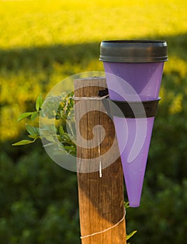 Rain meter on wooden pole