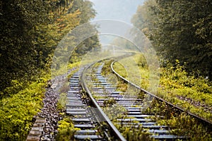 Rain on old railway track on forest landscape