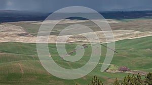 Rain Over the Palouse