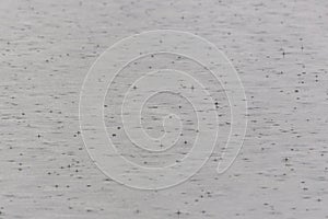 Rain pattering on water surface with drops and circles