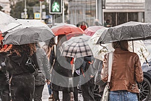 Rain, pedestrian crossing in city. People with umbrellas in busy shopping street, blurred background