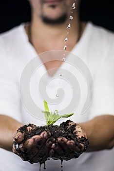 Rain on the plant