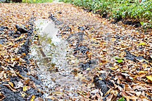 Rain puddle in deep rut on dirty road close up