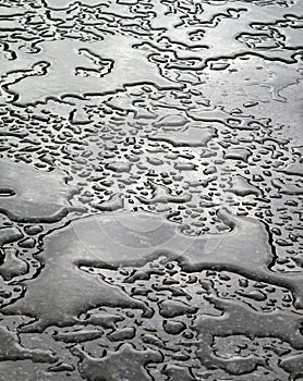 Rain Puddles On Black Marble