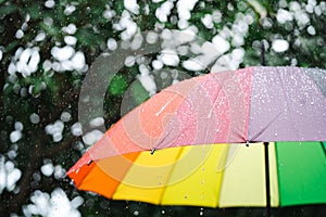 Rain On Rainbow Umbrella. Colored umbrella under rain on nature.