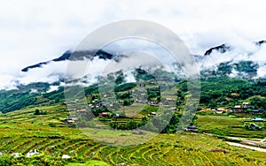 Sapa - Rice Terrace field VietNam