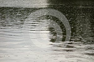 Rain riffles on lake water surface