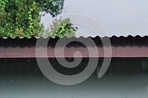 rain on roof of wooden house, rainy season