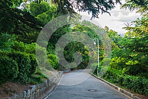 A rain soaked road in bad weather surrounded by green trees.